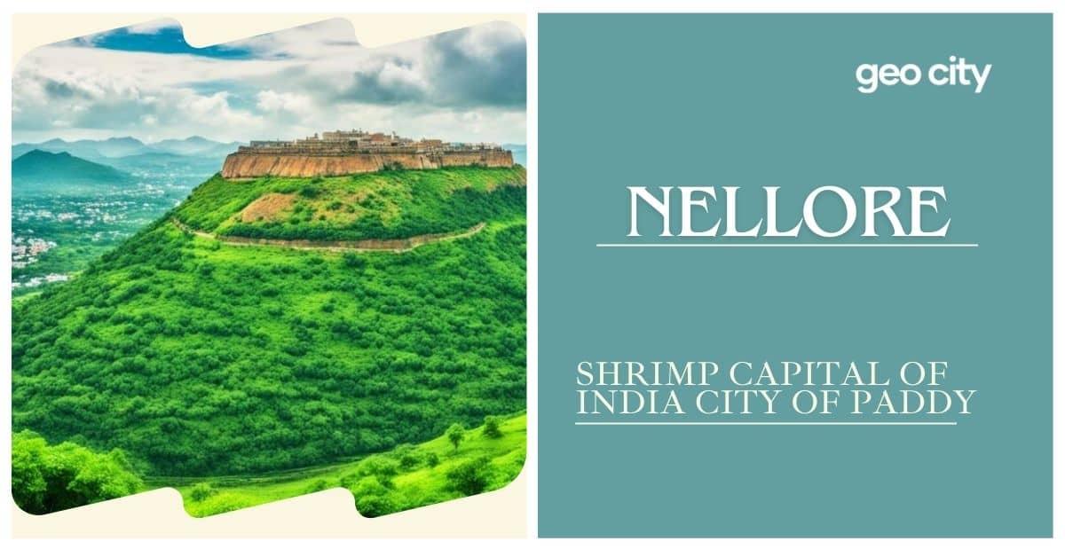 beautiful beach of nellore