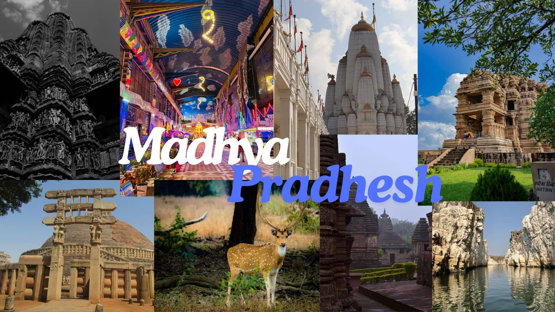 'Tiger State of India The Madhya Pradesh