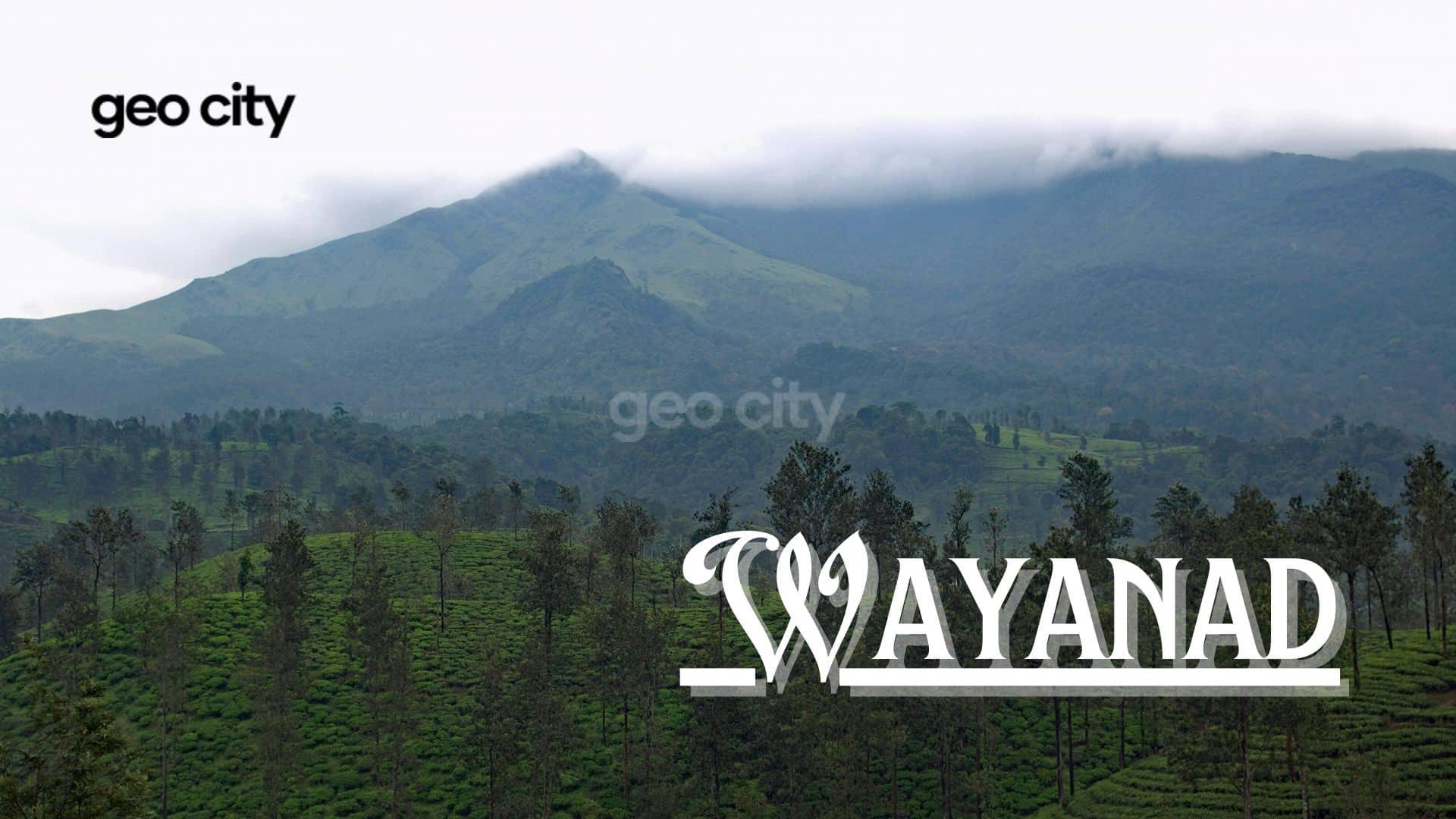 Wayanad-The green paradise